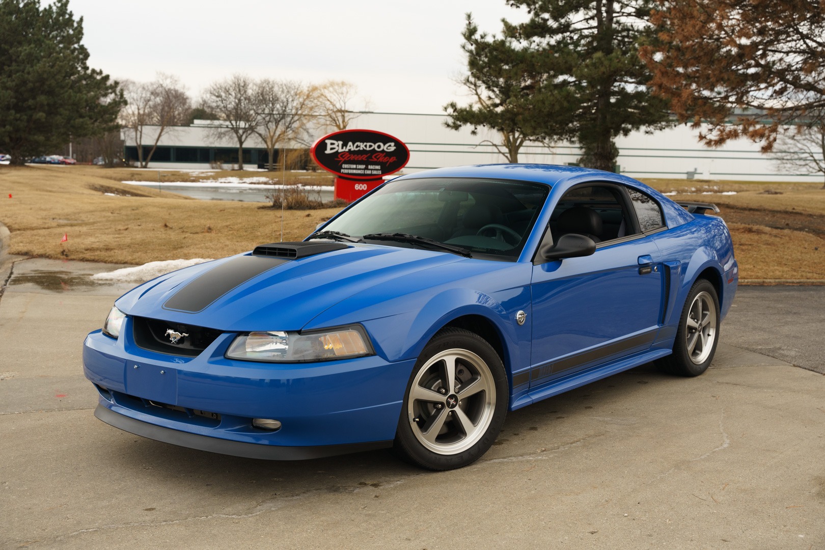 Saleブルーフルーテッド1/1015 Used 2004 FORD MUSTANG MACH I For Sale (Sold) | Blackdog