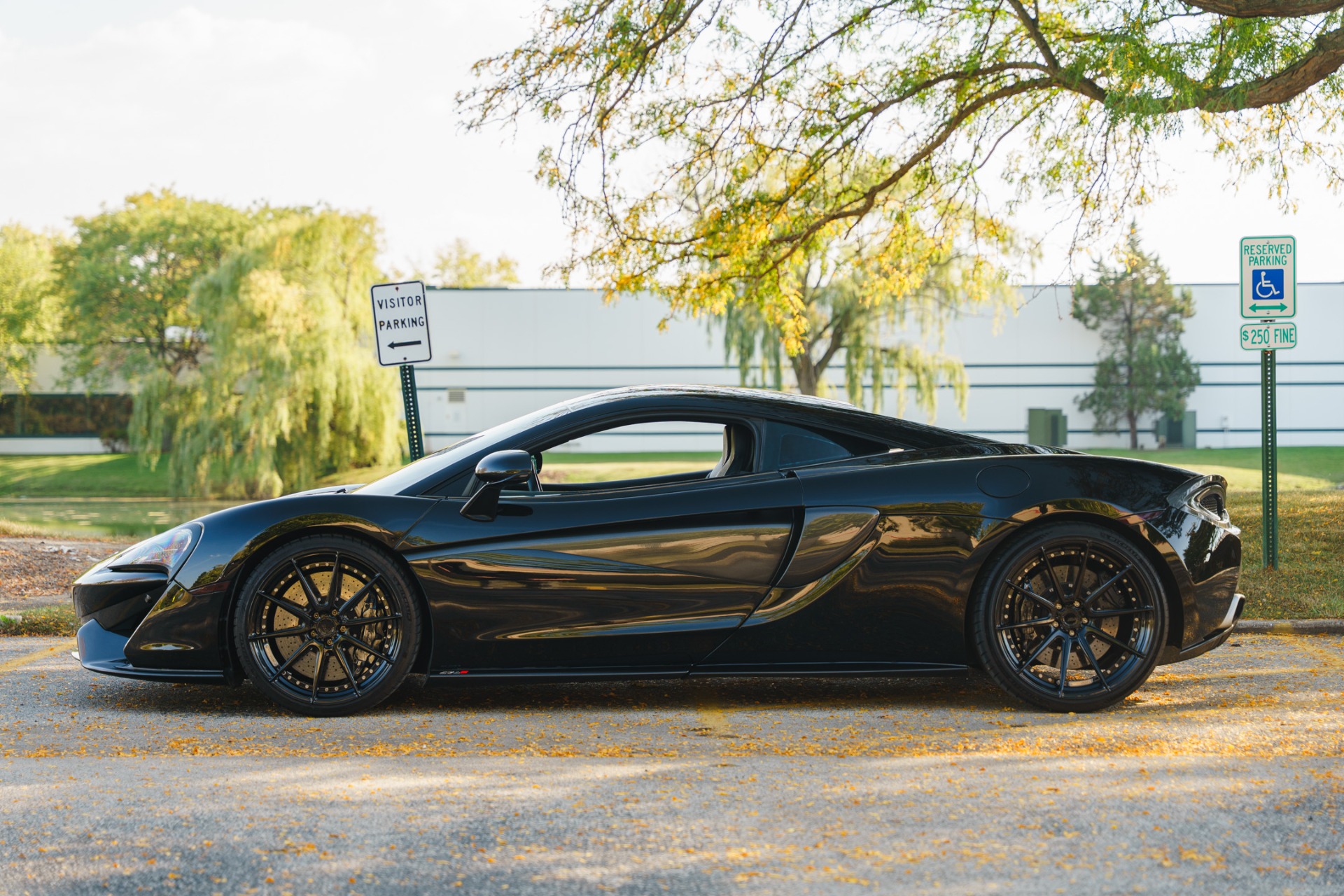 Used 2016 MCLAREN 570S For Sale (Sold) | Blackdog Performance Cars